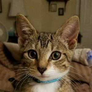 Meet your Posher, Christine